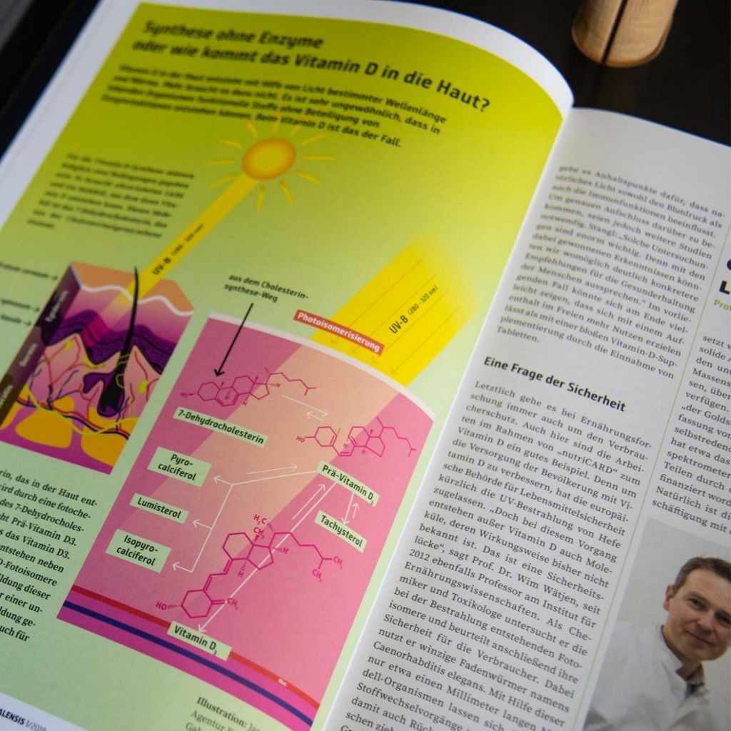 Infografik in der Scientia Halensis