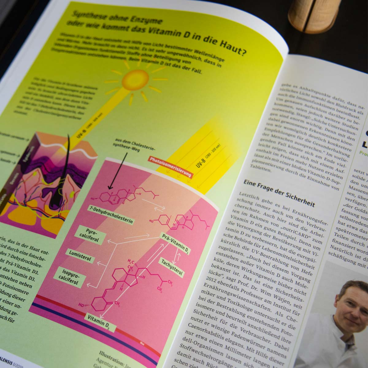 Infografik in der Scientia Halensis