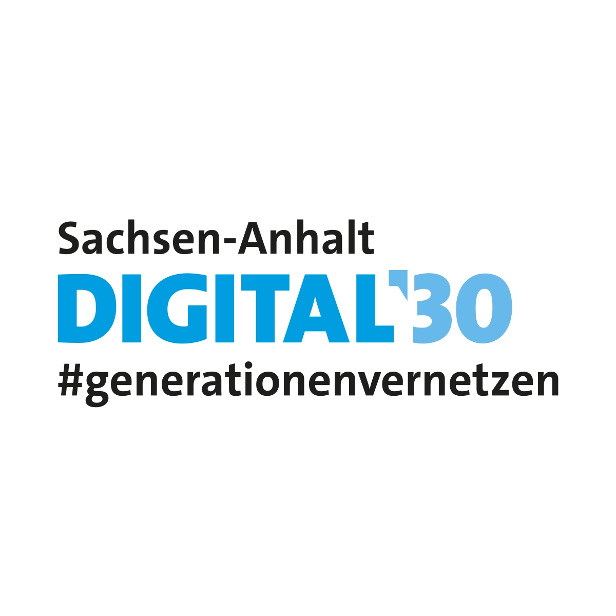 Logo Sachsen-Anhalt Digital 2030