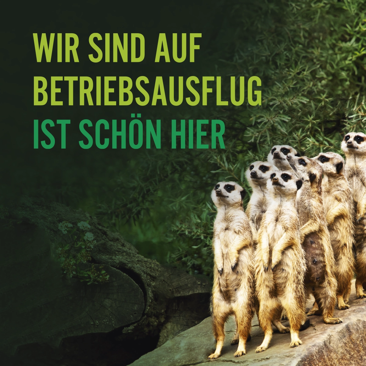 Wir sind auf Betriebsausflug - ist schön hier.