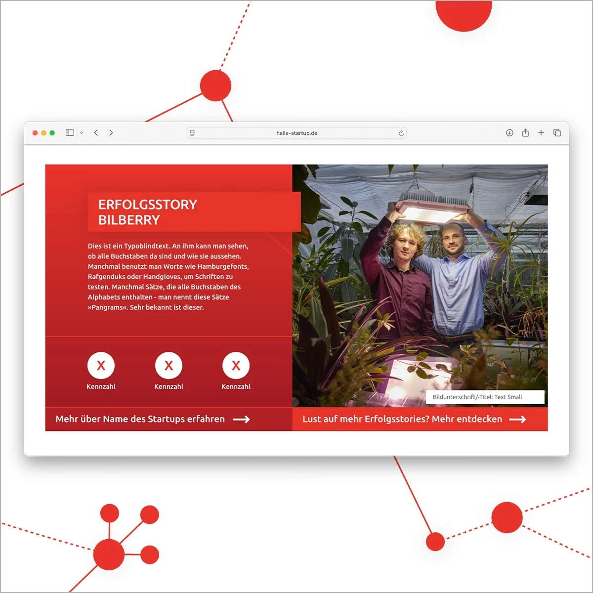 Erfolgsstories auf der Halle Startup Website